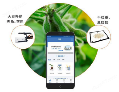 大豆表型檢測系統(tǒng)